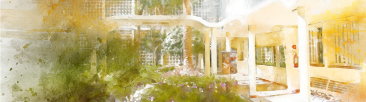 imagem do processo